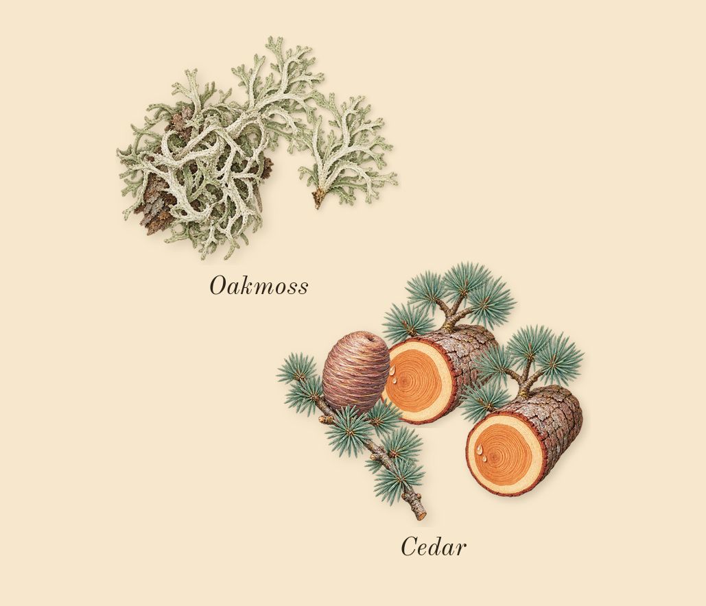 Fan Your Flames, dry-down: Oakmoss, Cedar