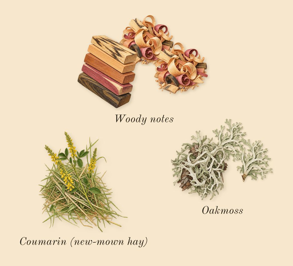 Hacivat, dry-down: Woody notes, Oakmoss, Coumarin (new-mown hay)