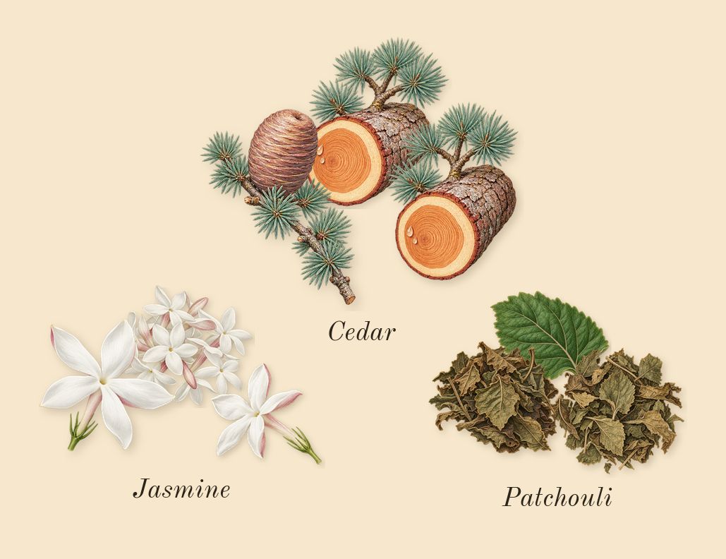 Hacivat, heart: Jasmine, Patchouli, Cedar