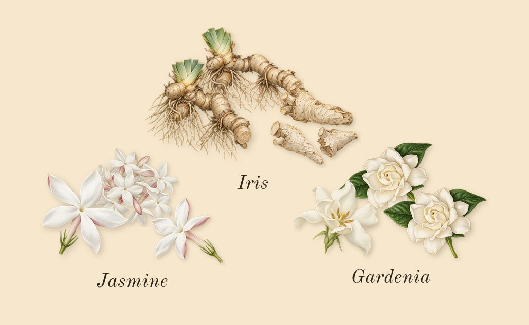 Hundred Silent Ways, heart: Jasmine, Gardenia, Iris