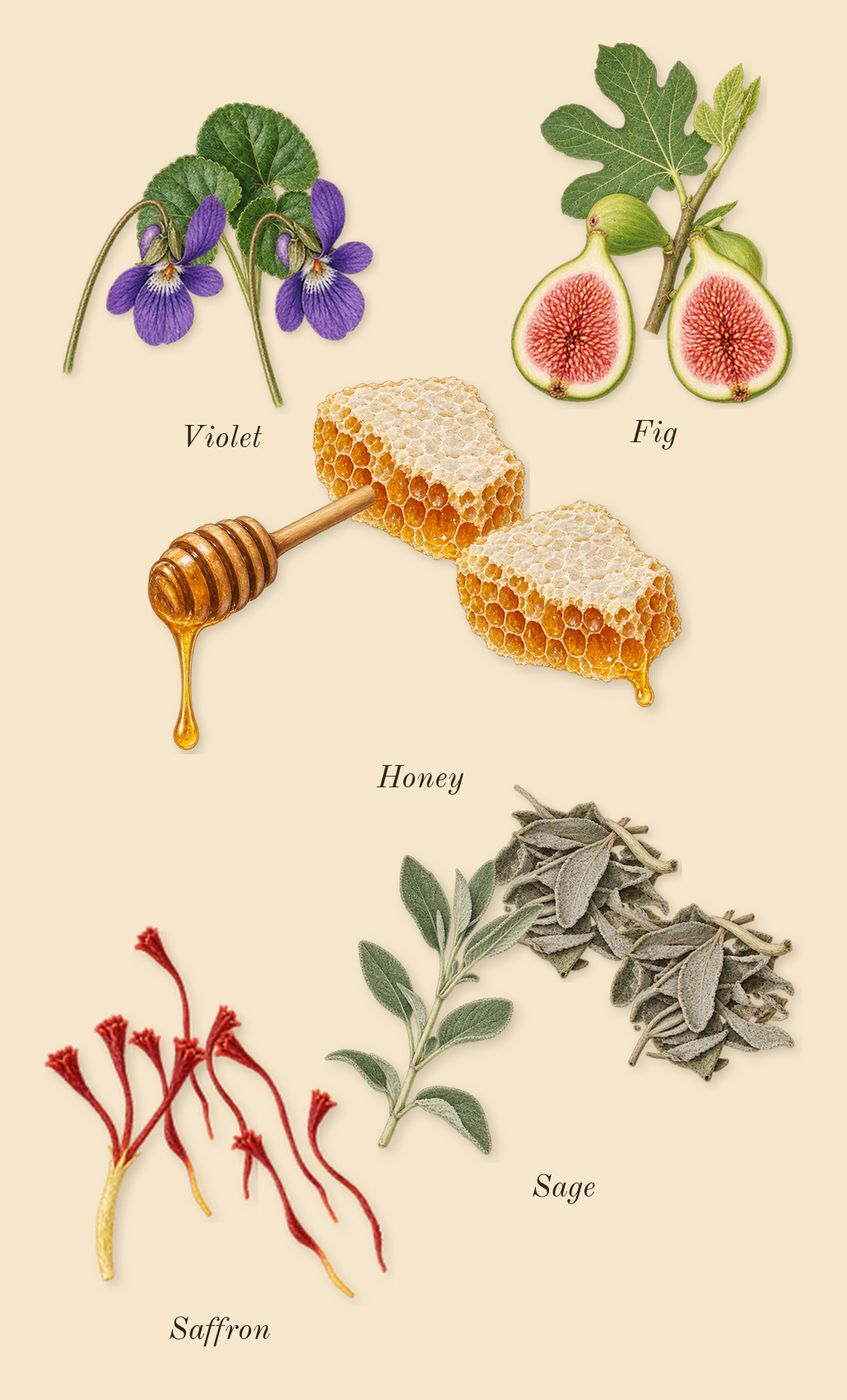 Nefs, top notes: Honey, Violet, Sage, Saffron, Fig