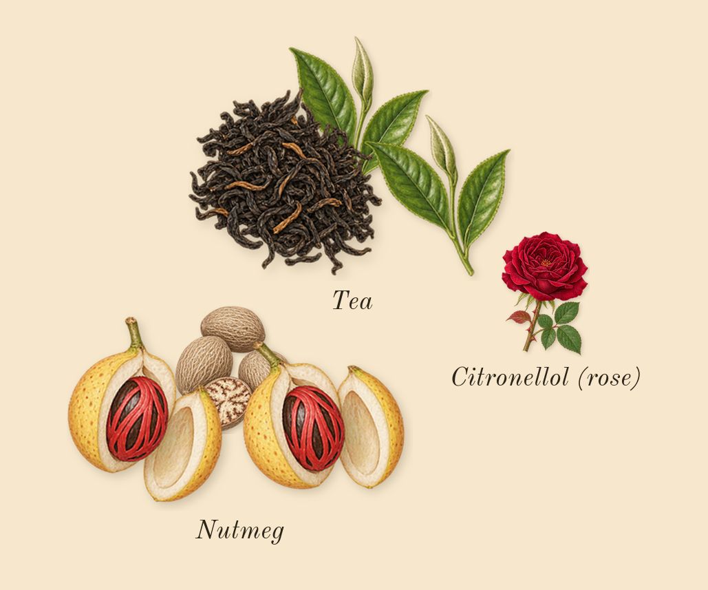 Wūlóng Chá, heart: Tea, Nutmeg, Citronellol (rose)