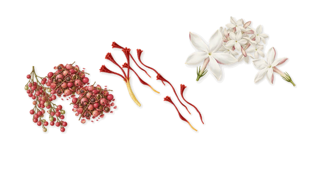 12:00, when you spray it: Pink pepper, Jasmine, Saffron