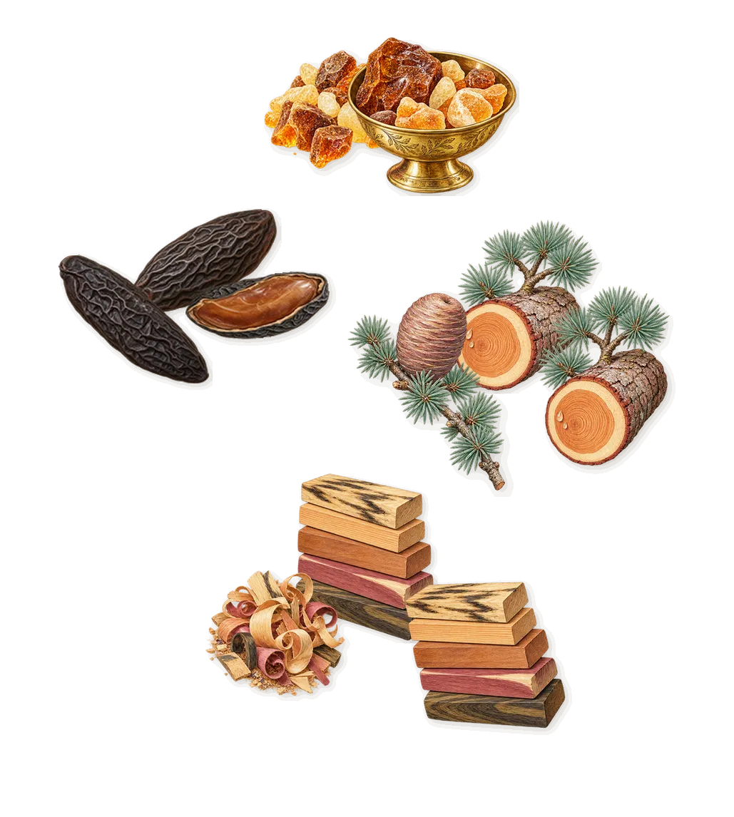 Sh**ty Day, what stays: Tonka (coumarin), Sea-soaked woods, Amber, Cedar