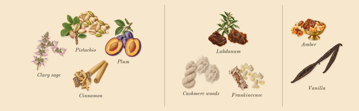 Unmute’s scent picture, a draft: cinnamon, plum, clary sage, pistachio, cashmere woods, labdanum drawn so far; dashed outlines where nothing is drawn yet