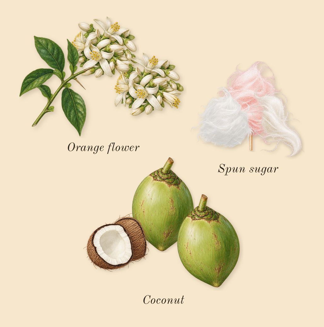 Cotton Clouds, heart: Spun sugar, Coconut, Orange flower