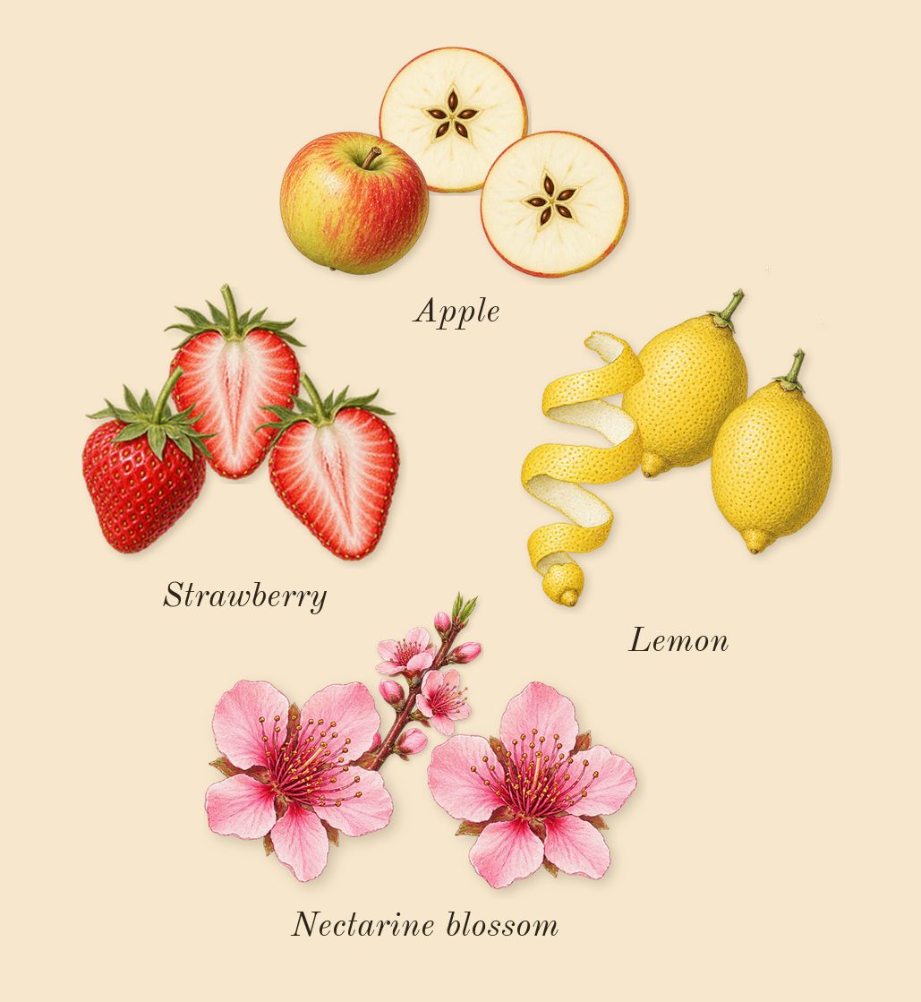 Cotton Clouds, top notes: Strawberry, Lemon, Apple, Nectarine blossom