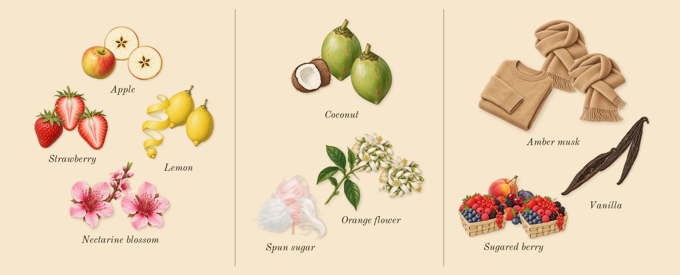 Cotton Clouds’s scent picture, a draft: strawberry, lemon, apple, nectarine blossom, spun sugar, coconut drawn so far; dashed outlines where nothing is drawn yet