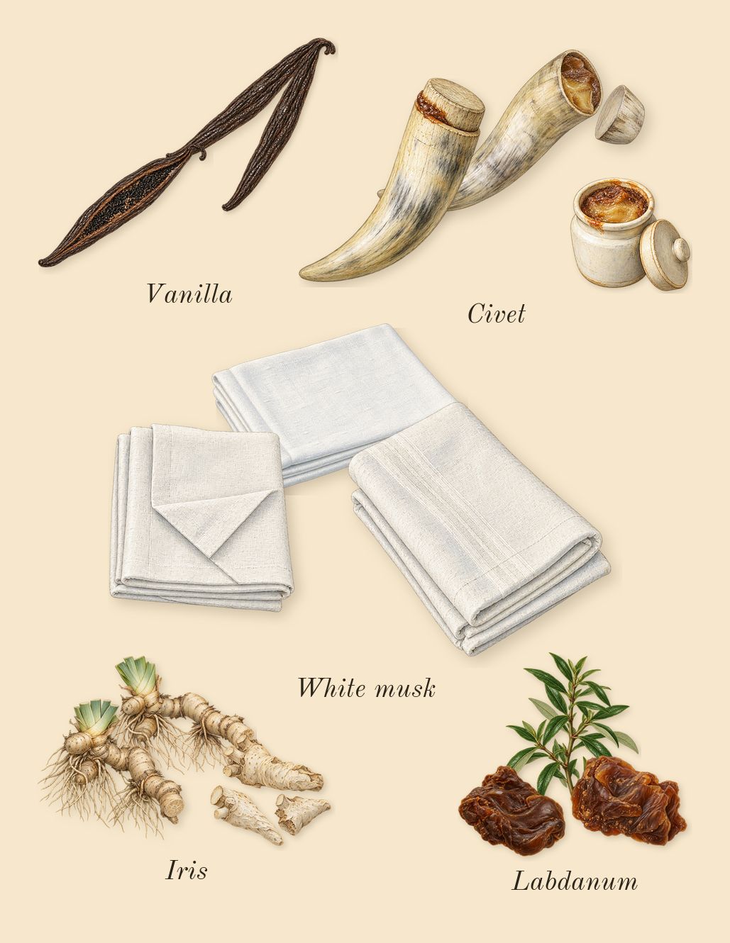 Sweet Addict, dry-down: Civet, Labdanum, Vanilla, White musk, Iris
