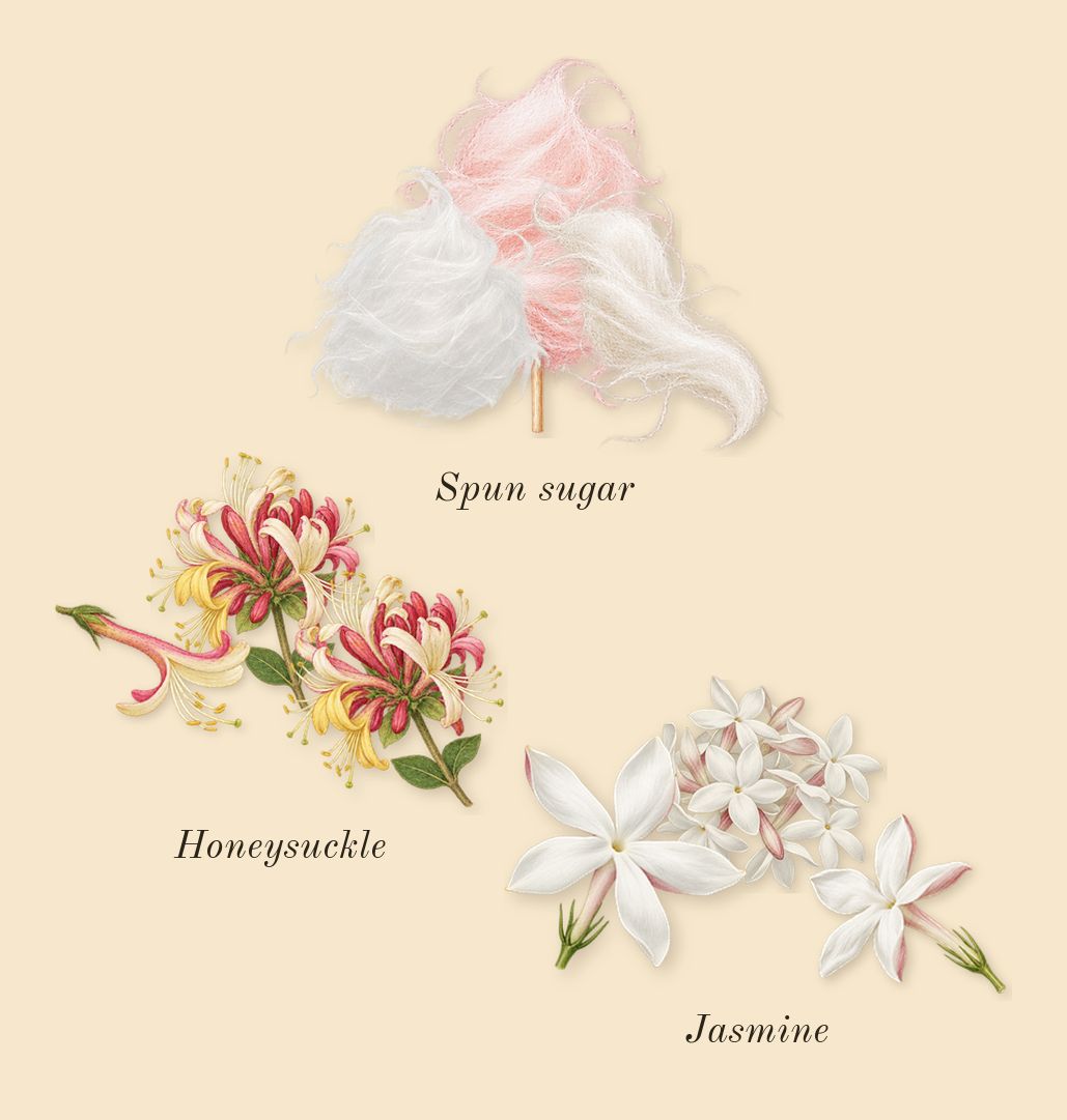 Sweet Addict, heart: Jasmine, Honeysuckle, Spun sugar