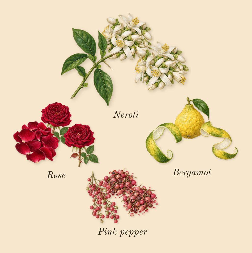 Sweet Addict, top notes: Bergamot, Neroli, Pink pepper, Rose