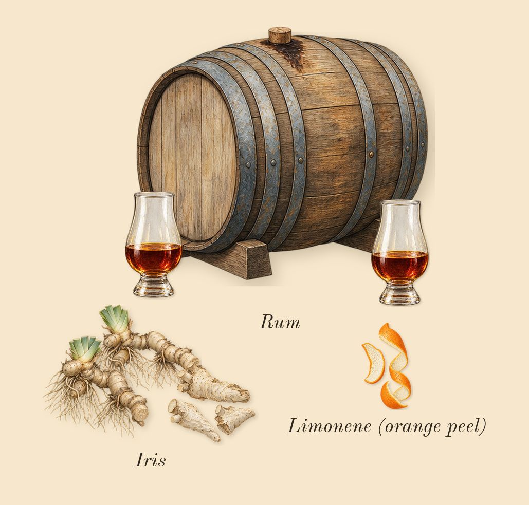 Opus V Woods Symphony, top notes: Iris, Rum, Limonene (orange peel)