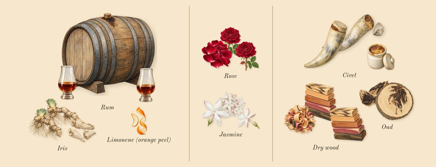 Opus V Woods Symphony’s scent picture, a draft: iris, rum, rose, jasmine, oud, civet drawn so far; dashed outlines where nothing is drawn yet