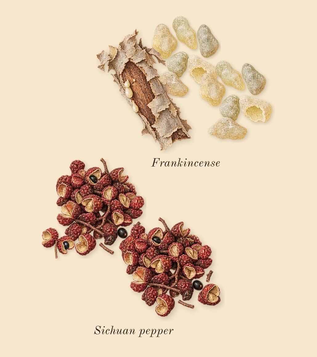 Opus VI, top notes: Sichuan pepper, Frankincense