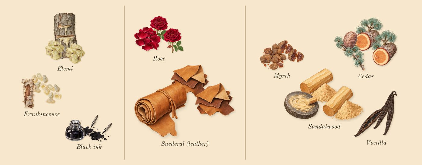 Opus XII Rose Incense’s scent picture, a draft: elemi, frankincense, black ink, rose, suederal (leather), myrrh drawn so far; dashed outlines where nothing is drawn yet