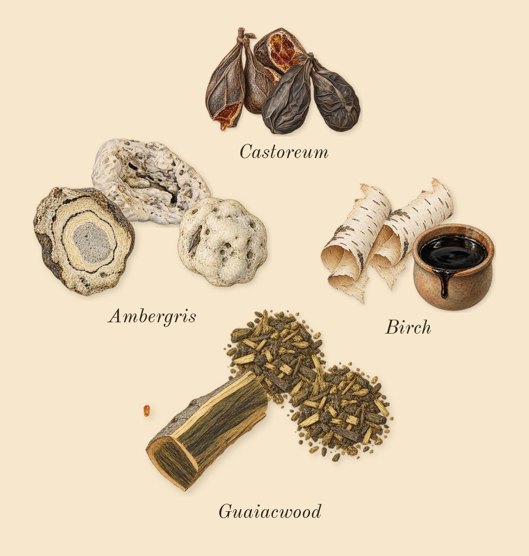 Opus XIII Silver Oud, dry-down: Ambergris, Birch, Guaiacwood, Castoreum