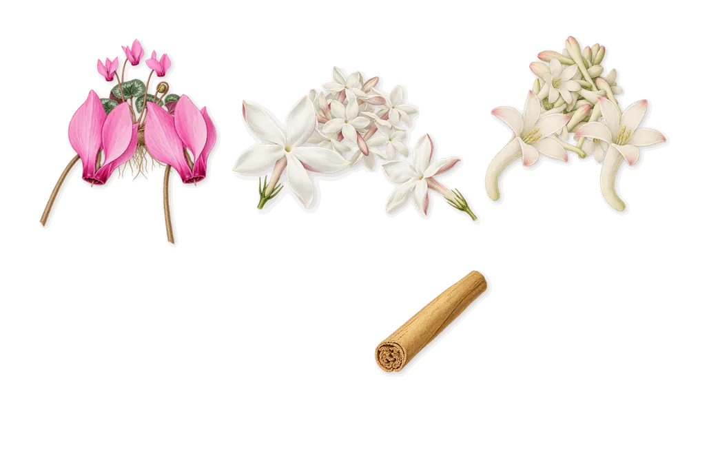 Côte d'Azur, as it settles: Tuberose, Cyclamen, Jasmine, Cinnamal (cinnamon)