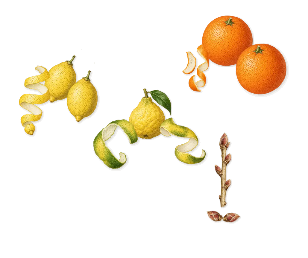 Côte d'Azur, when you spray it: Lemon, Blackcurrant, Bergamot, Sweet orange