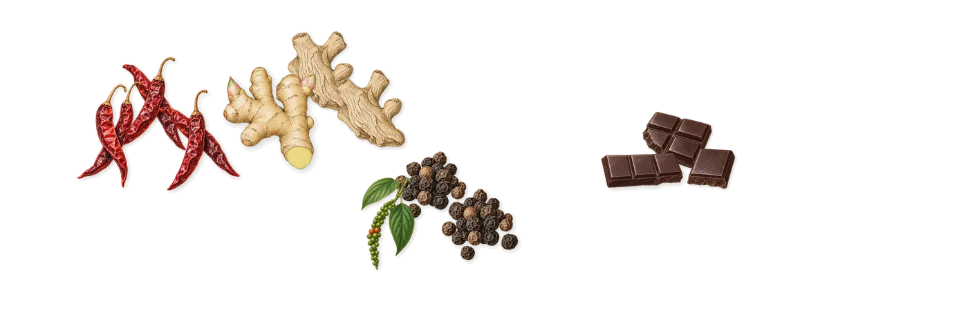 Boccanera’s scent picture, a draft: dark chocolate, ginger, black pepper, chilli drawn so far; dashed outlines where nothing is drawn yet