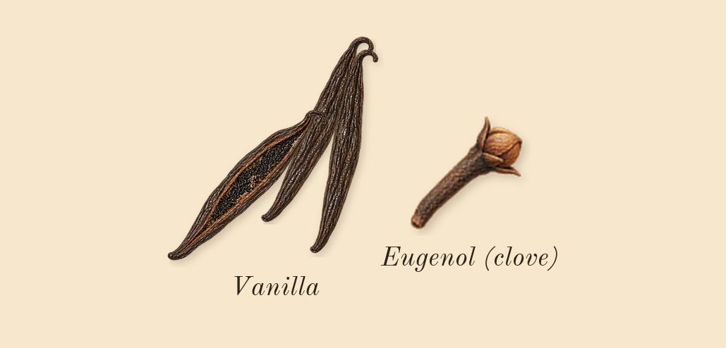 Oud Ulya, heart: Vanilla, Eugenol (clove)