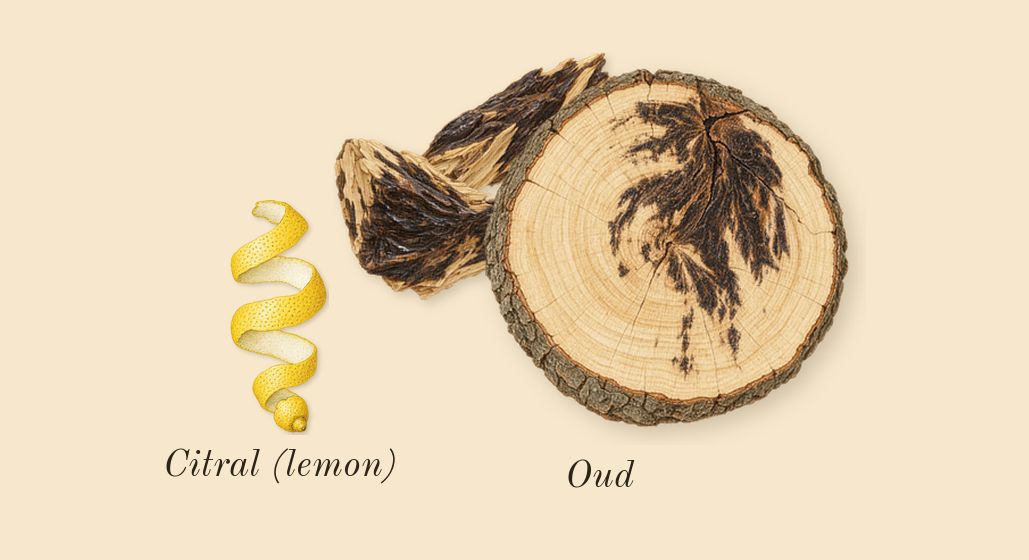 Oud Ulya, top notes: Oud, Citral (lemon)