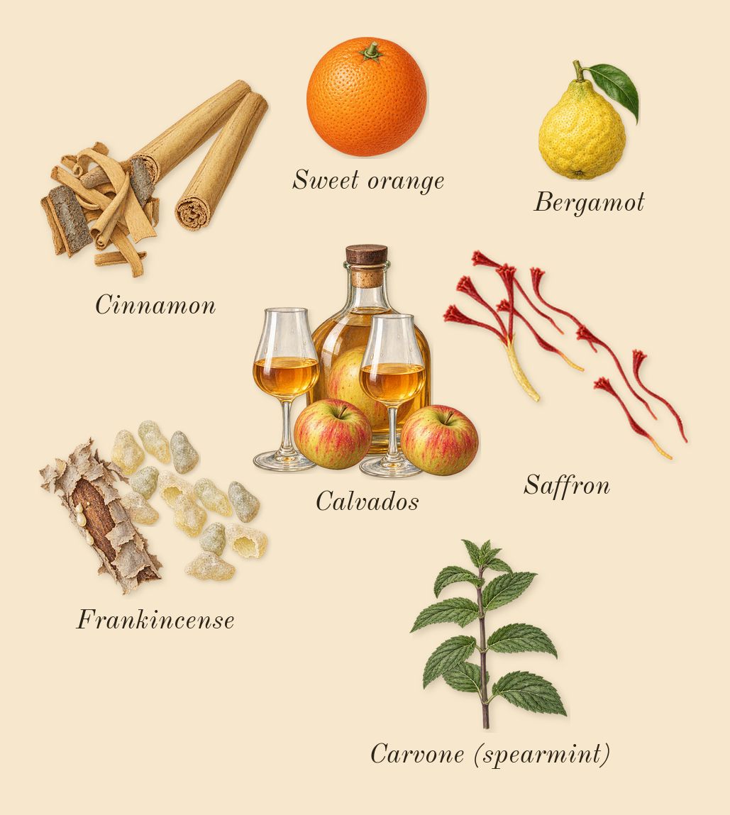 Overture 41, top notes: Frankincense, Saffron, Calvados, Cinnamon, Bergamot, Sweet orange, Carvone (spearmint)