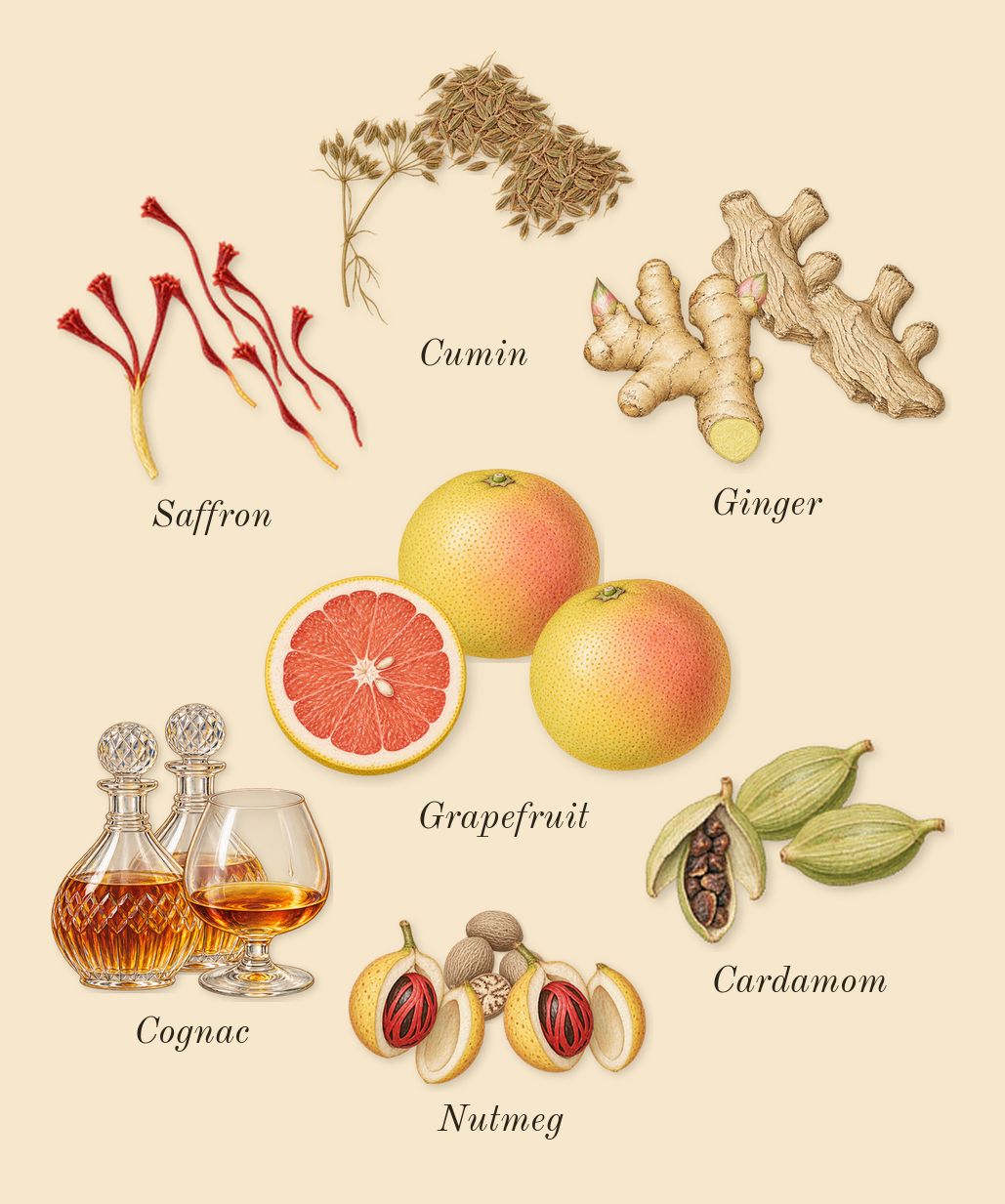 Overture Man, top notes: Grapefruit, Cardamom, Cumin, Ginger, Nutmeg, Saffron, Cognac