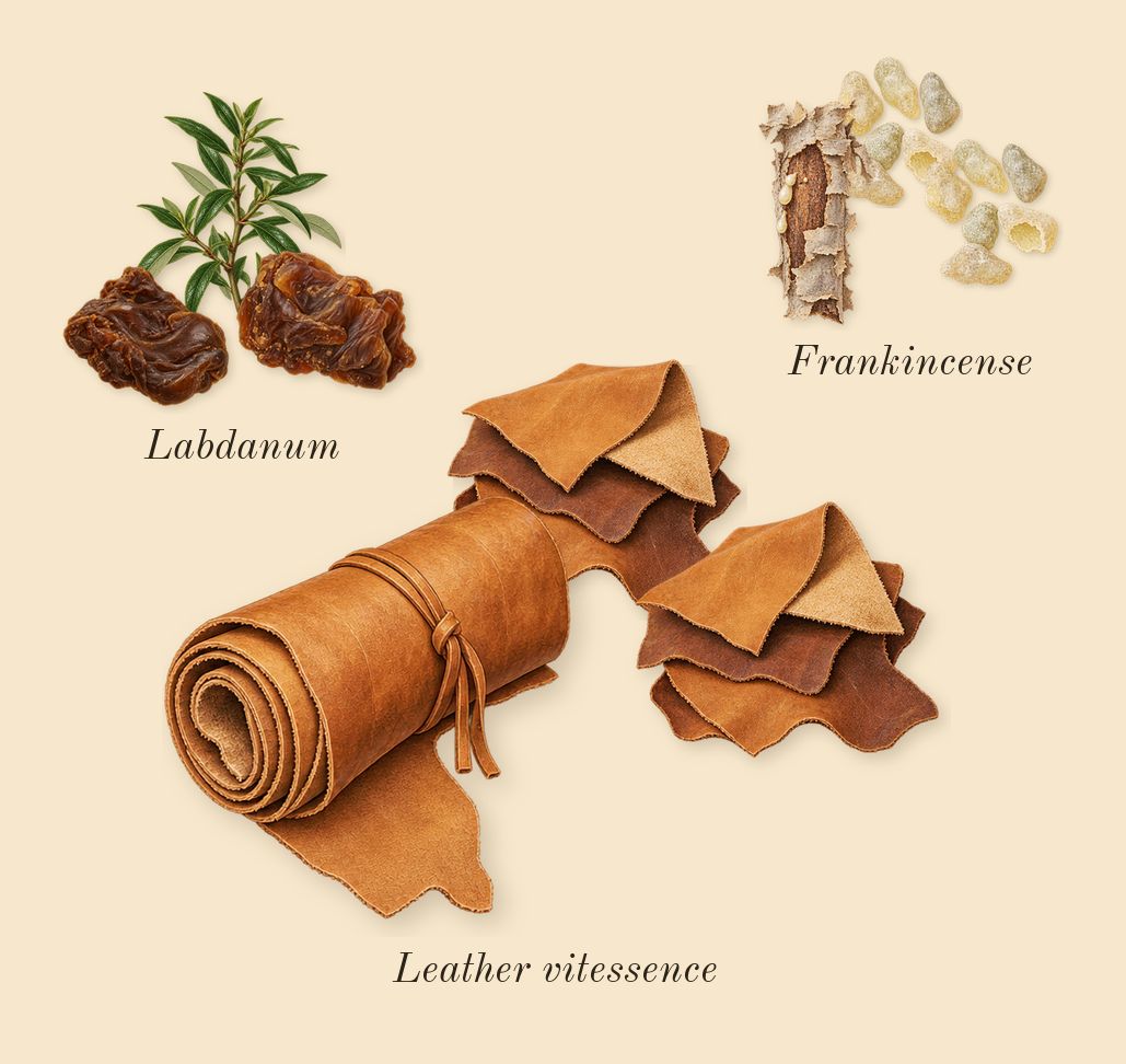 Overture Woman, dry-down: Frankincense, Labdanum, Leather vitessence
