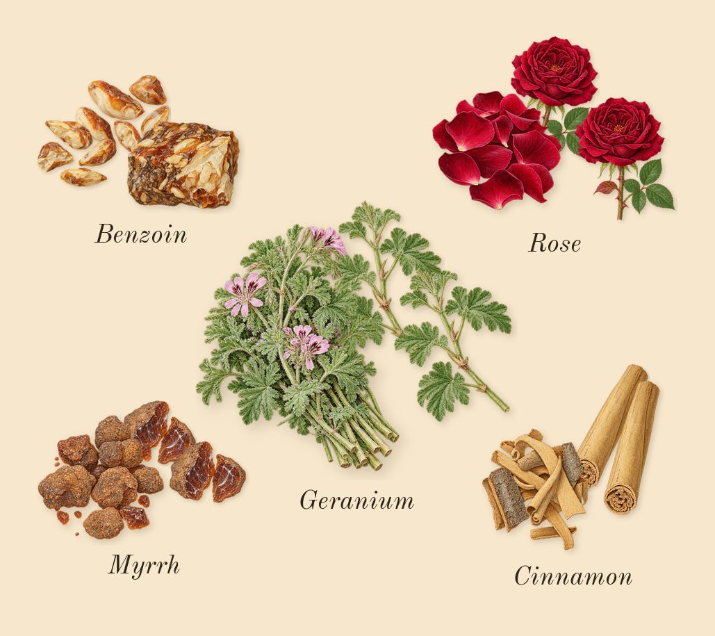 Overture Woman, heart: Benzoin, Myrrh, Rose, Geranium, Cinnamon