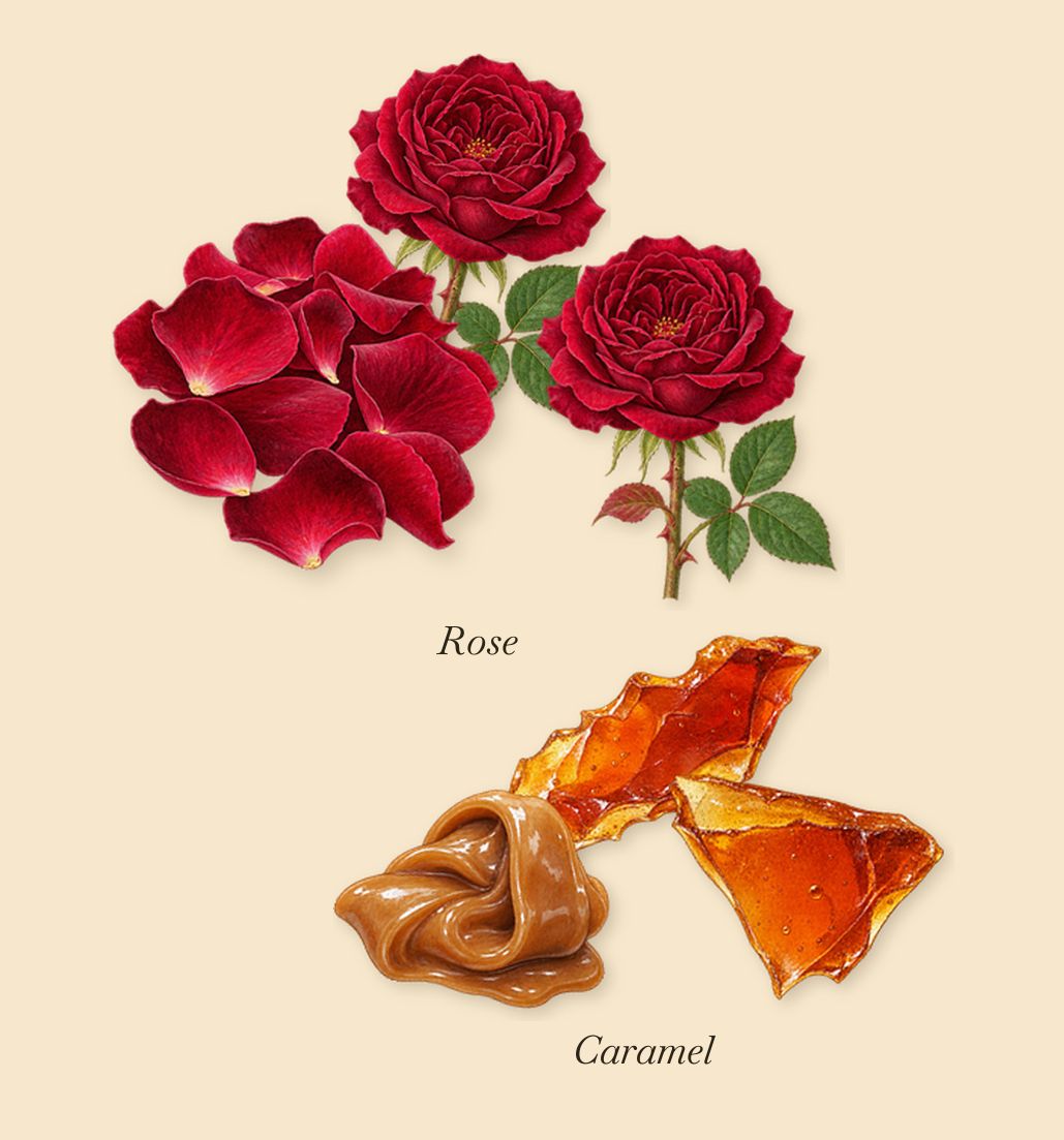 Bengale Rouge, as it settles: Rose, Caramel