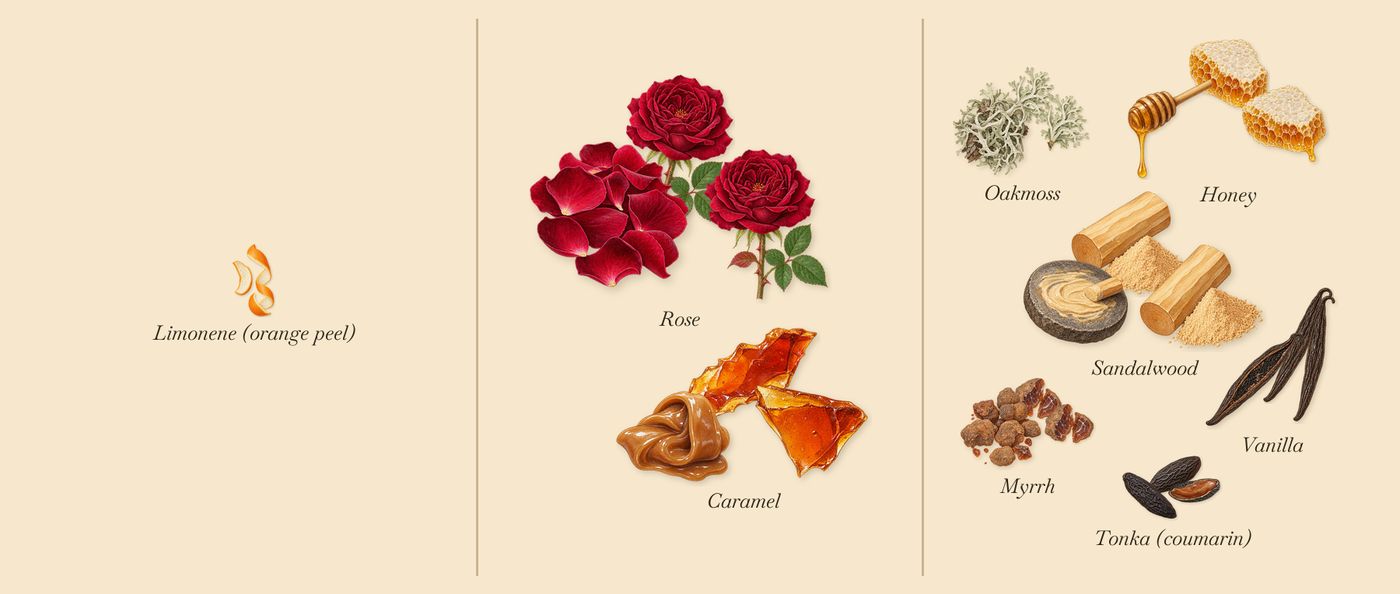 Bengale Rouge’s scent picture, a draft: sandalwood, rose, honey, vanilla, myrrh, oakmoss drawn so far; dashed outlines where nothing is drawn yet