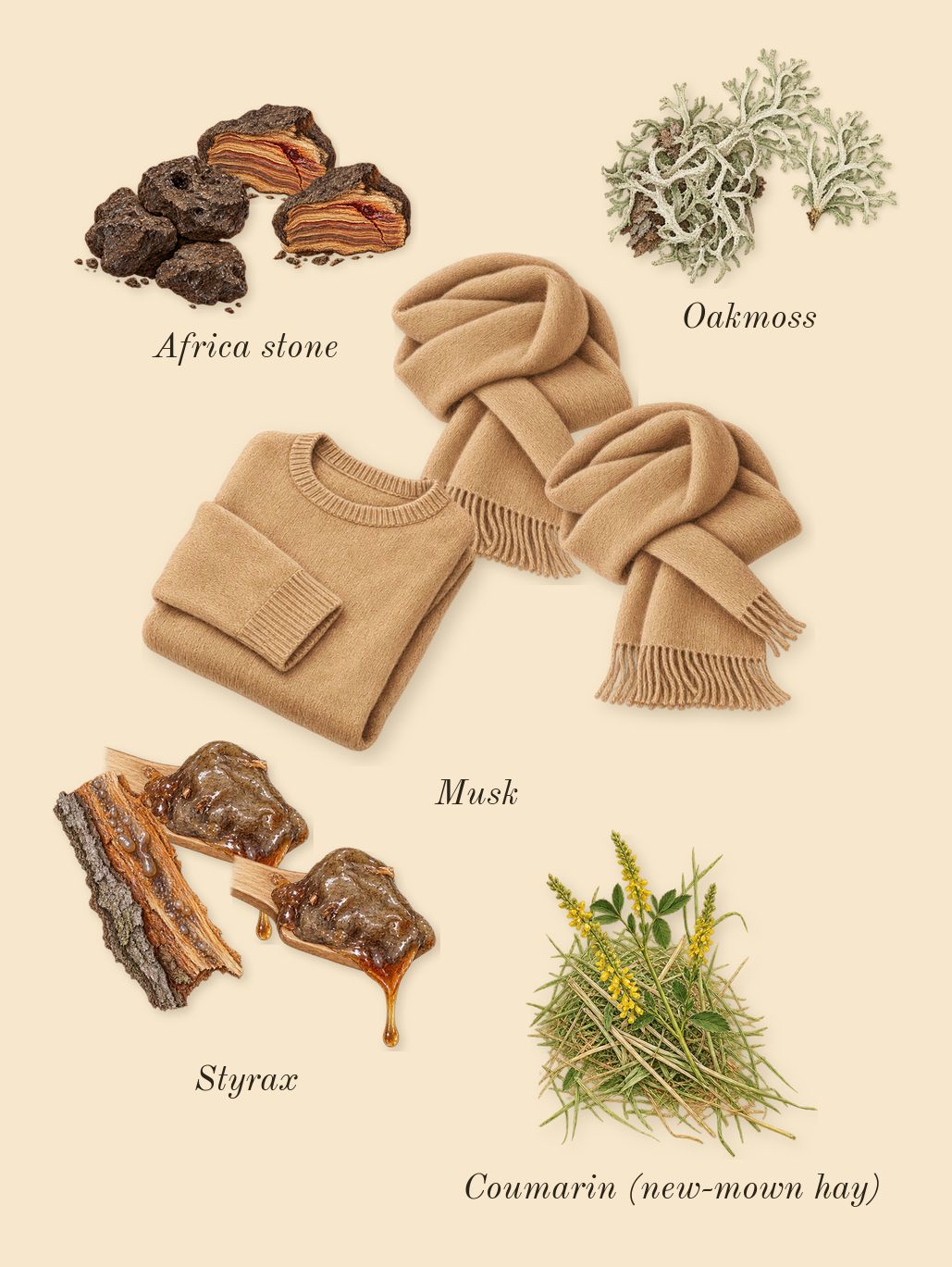 Salome, dry-down: Africa stone, Musk, Oakmoss, Styrax, Coumarin (new-mown hay)