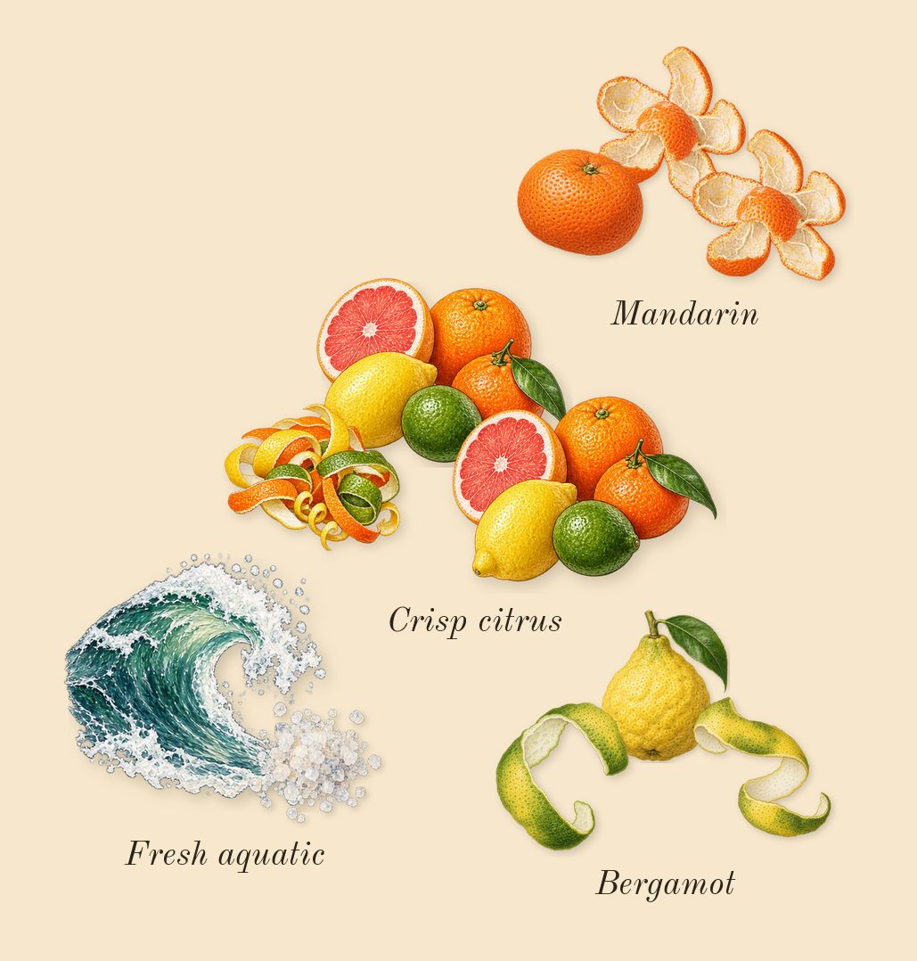 G'eàu Blue, top notes: Fresh aquatic, Crisp citrus, Mandarin, Bergamot