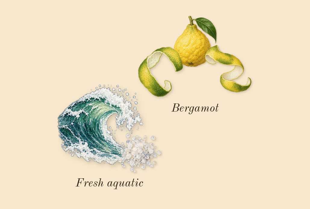 G'eàu, top notes: Bergamot, Fresh aquatic