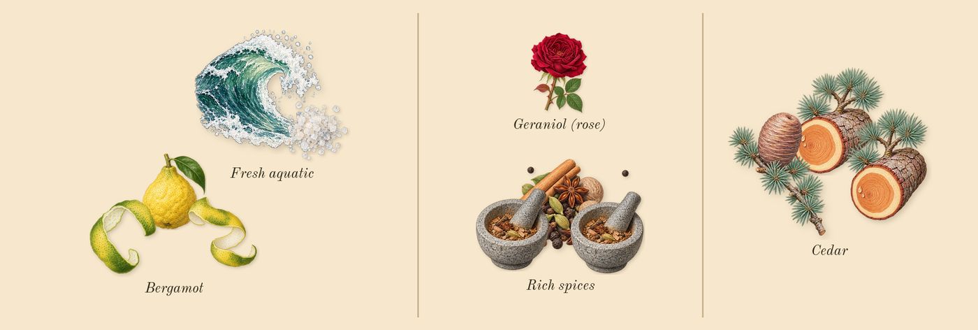 G'eàu’s scent picture, a draft: bergamot, fresh aquatic, rich spices, cedar, geraniol (rose) drawn so far; dashed outlines where nothing is drawn yet