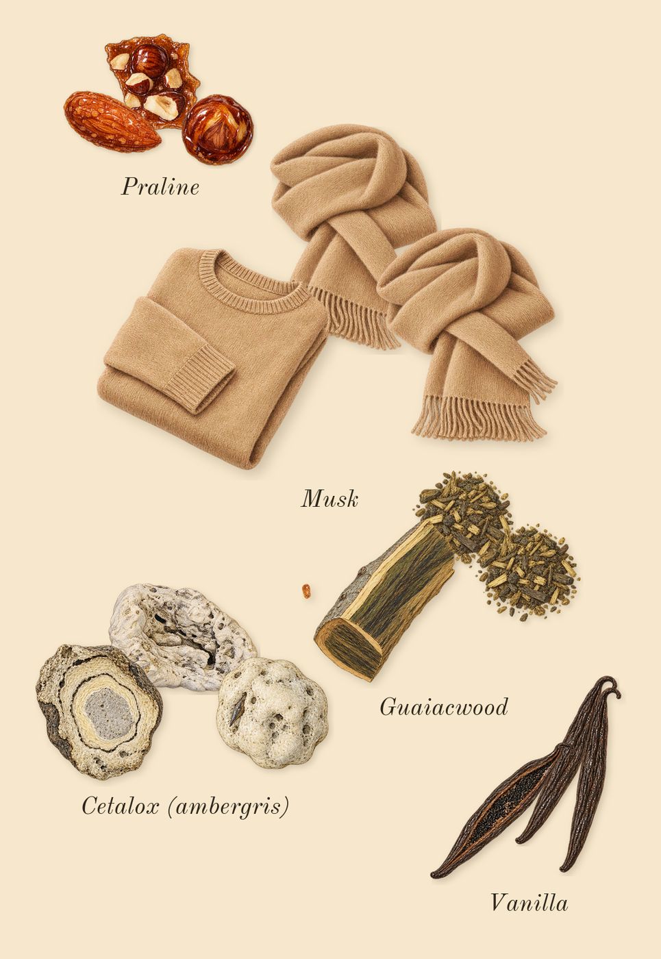 Althaïr, dry-down: Vanilla, Guaiacwood, Praline, Cetalox (ambergris), Musk