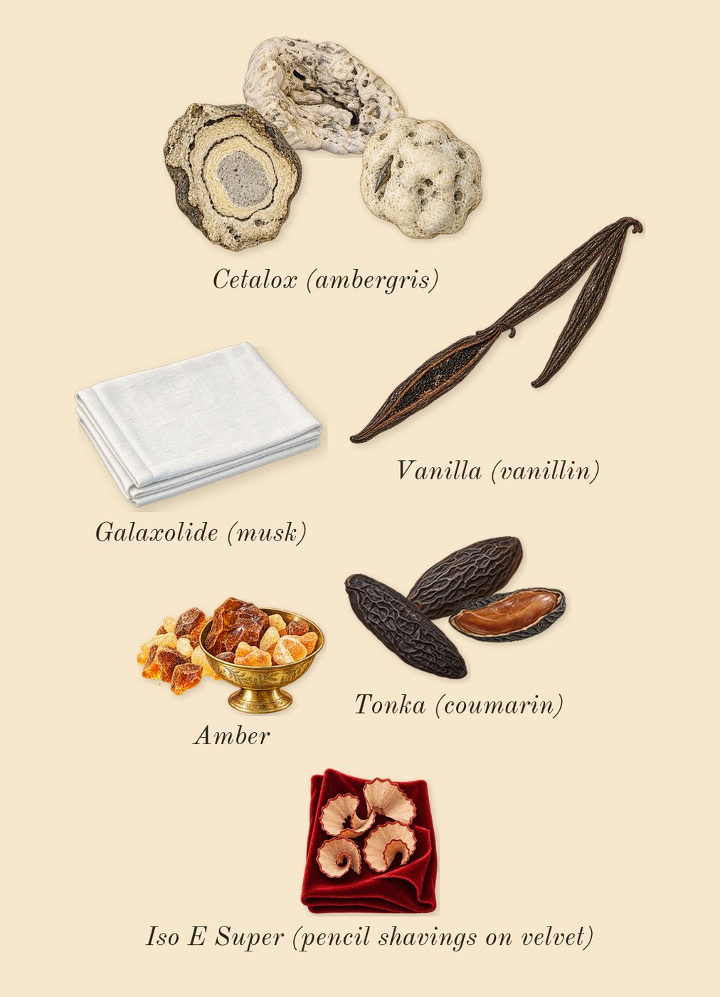 Athénaïs, dry-down: Tonka (coumarin), Vanilla (vanillin), Cetalox (ambergris), Amber, Galaxolide (musk), Iso E Super (pencil shavings on velvet)
