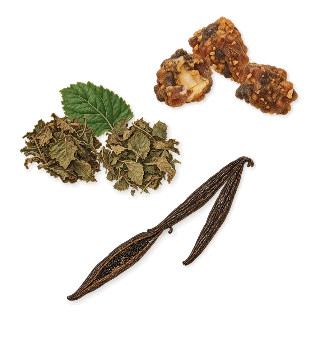 Carlisle, what stays: Vanilla, Patchouli, Opoponax