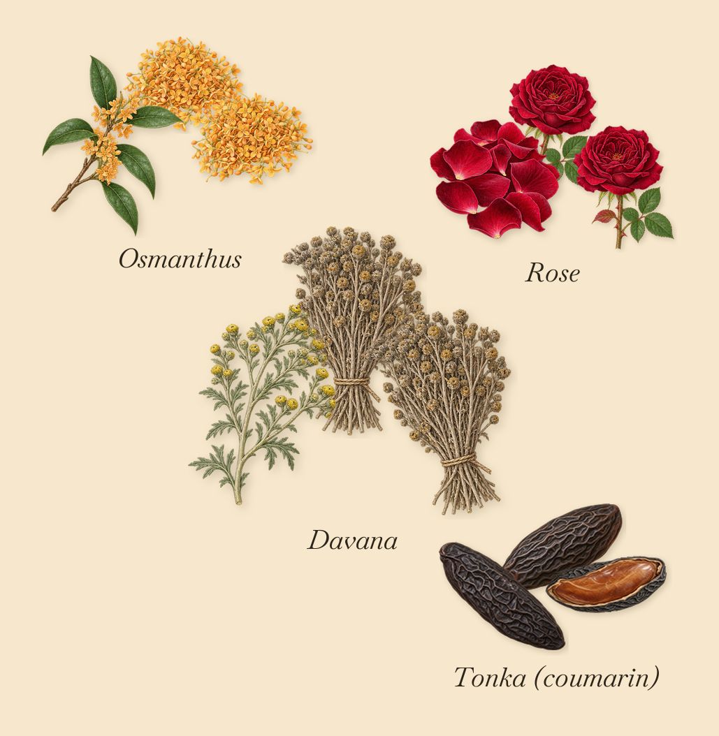 Carlisle, as it settles: Tonka (coumarin), Rose, Osmanthus, Davana