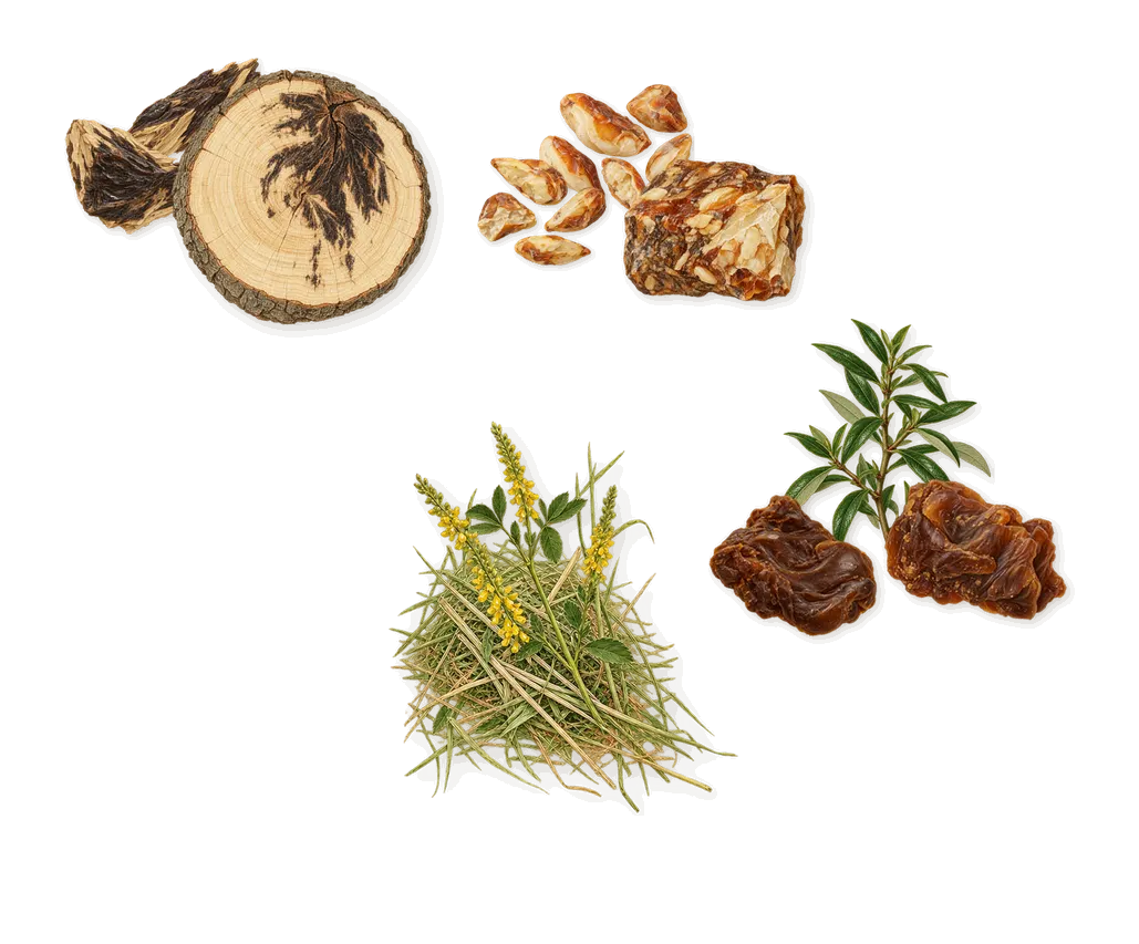 Castley, what stays: Akigalawood (oud), Labdanum, Benzoin, Coumarin (new-mown hay)