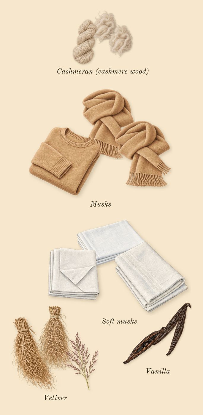 Delina, dry-down: Cashmeran (cashmere wood), Musks, Vetiver, Soft musks, Vanilla