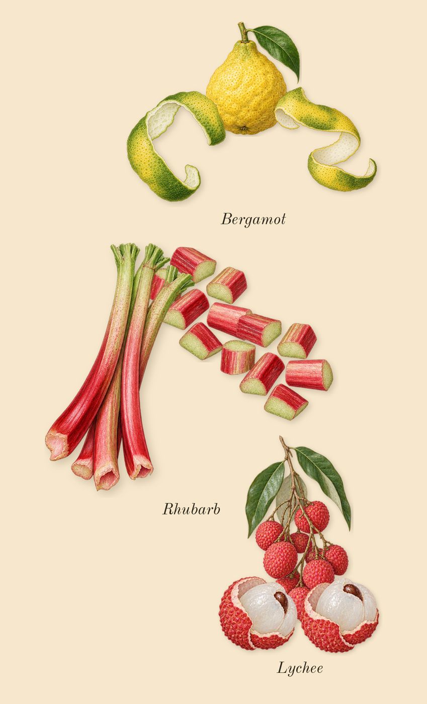 Delina, top notes: Bergamot, Lychee, Rhubarb