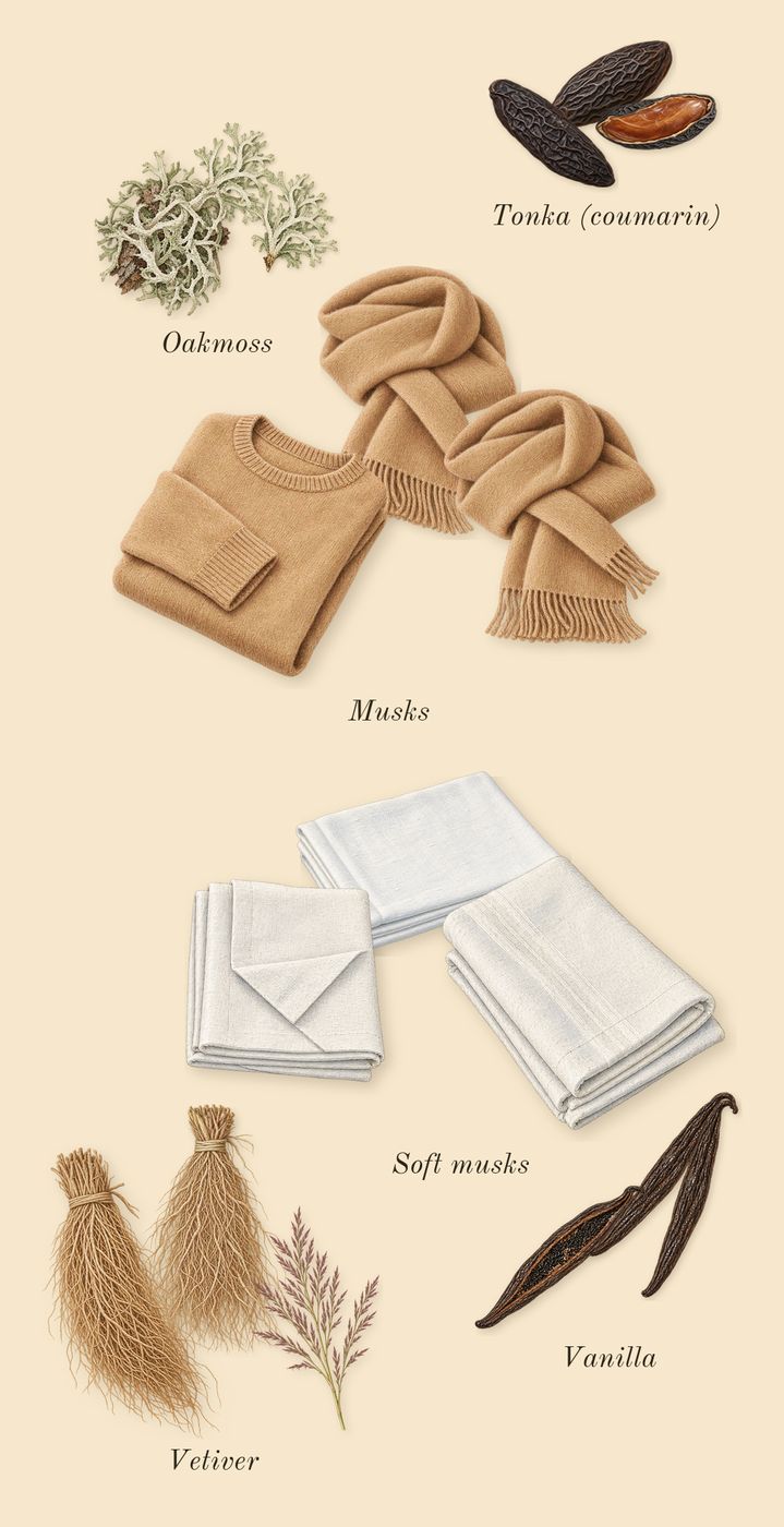 Delina Exclusif, dry-down: Vanilla, Musks, Oakmoss, Tonka (coumarin), Soft musks, Vetiver