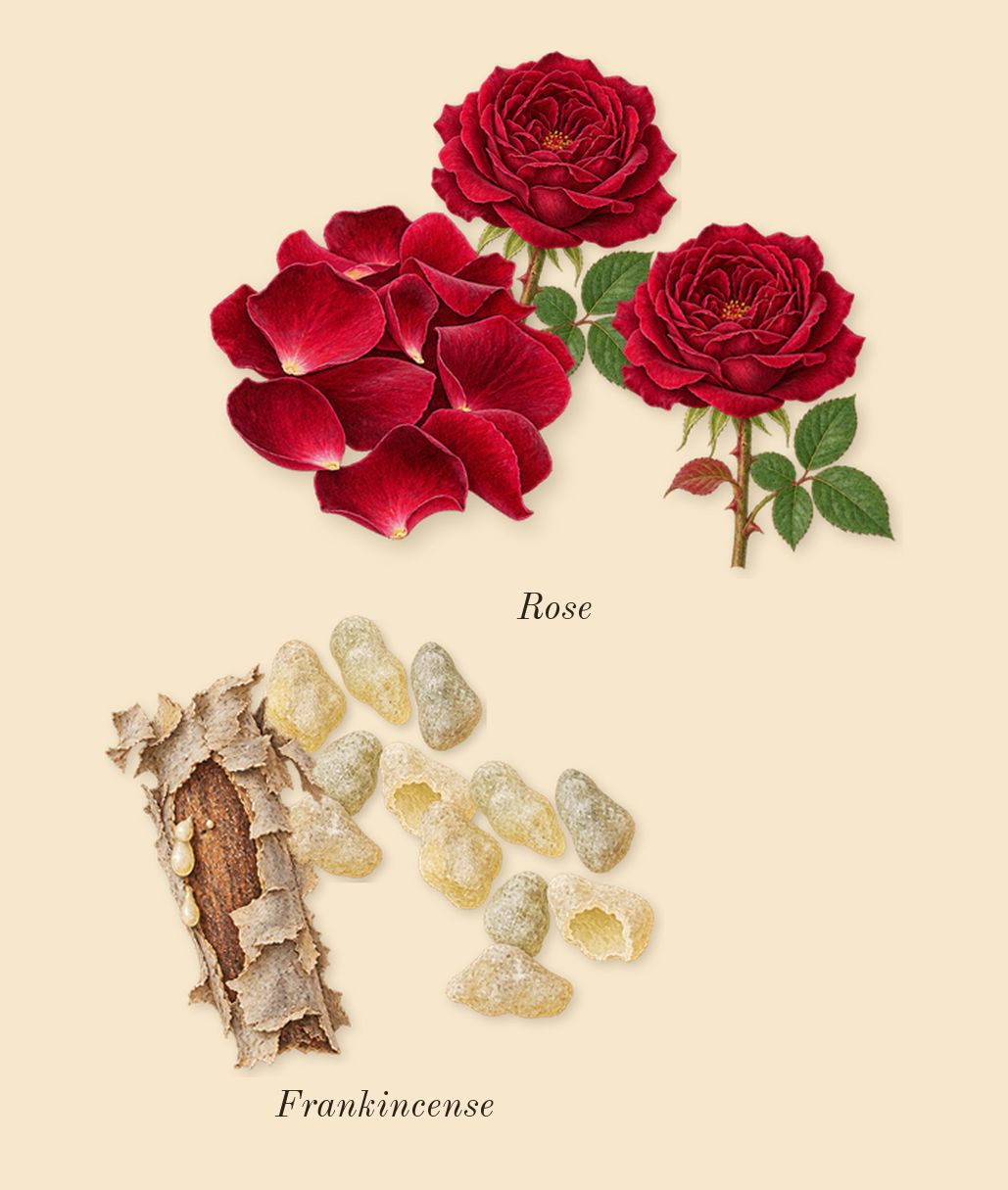 Delina Exclusif, heart: Rose, Frankincense