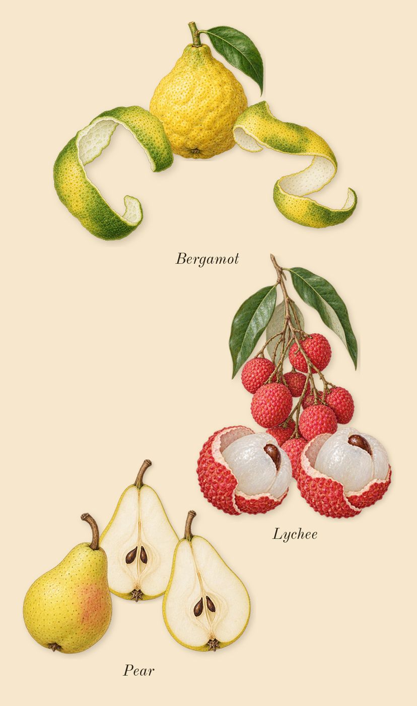 Delina Exclusif, top notes: Bergamot, Pear, Lychee