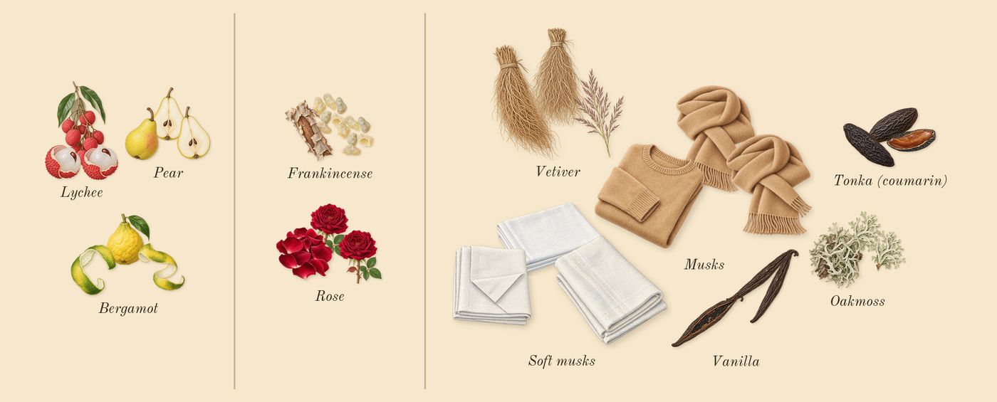 Delina Exclusif’s scent picture, a draft: bergamot, pear, lychee, rose, frankincense, vanilla drawn so far; dashed outlines where nothing is drawn yet