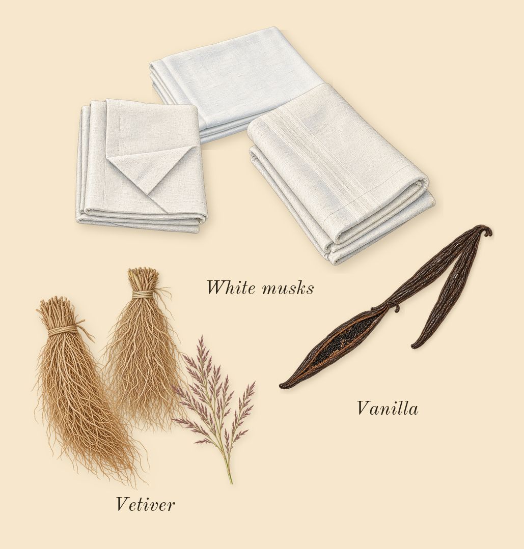 Delina La Rosée, dry-down: White musks, Vanilla, Vetiver