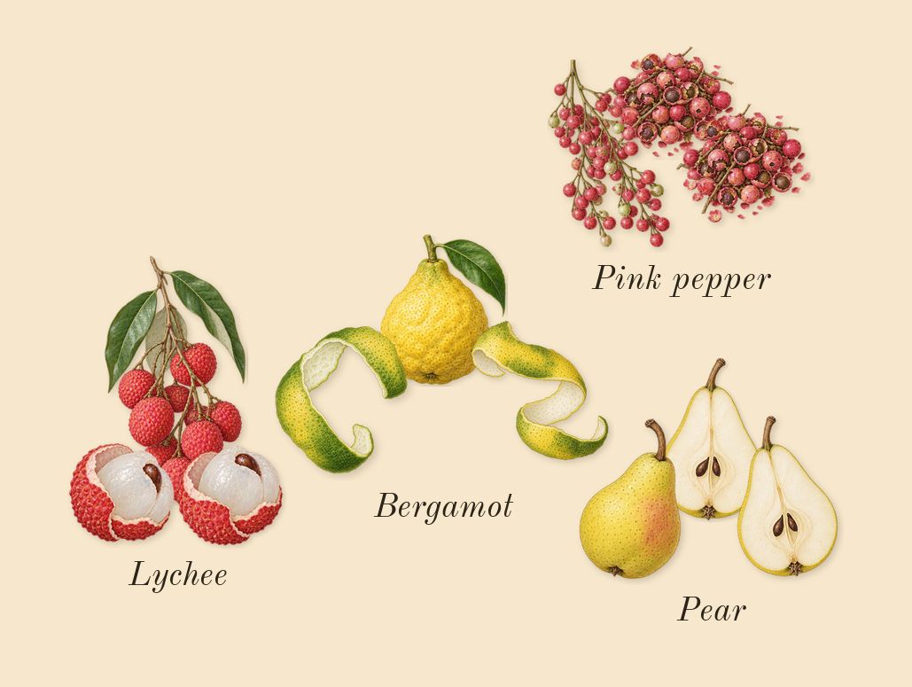 Delina La Rosée, top notes: Bergamot, Pink pepper, Lychee, Pear