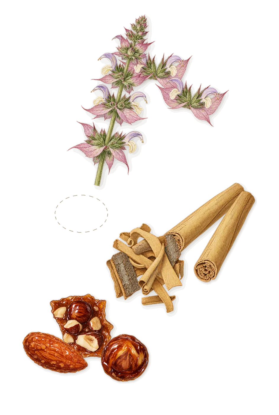 Dorval, as it settles: Balm, Clary sage, Cinnamon, Praline