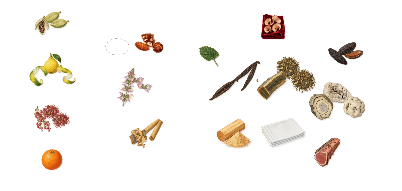 Dorval’s scent picture, a draft: bergamot, cardamom, pink pepper, clary sage, cinnamon, vanilla (vanillin) drawn so far; dashed outlines where nothing is drawn yet